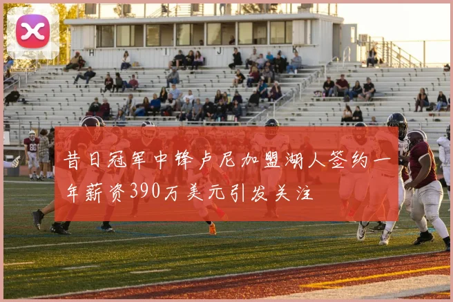 昔日冠军中锋卢尼加盟湖人签约一年薪资390万美元引发关注